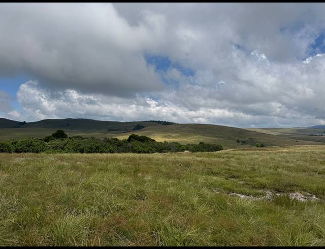1,730HA FARM FOR SALE IN DARGLE